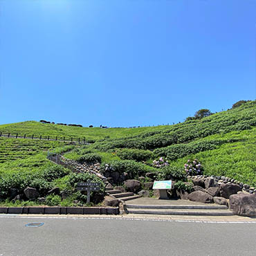 野母崎総合運動公園