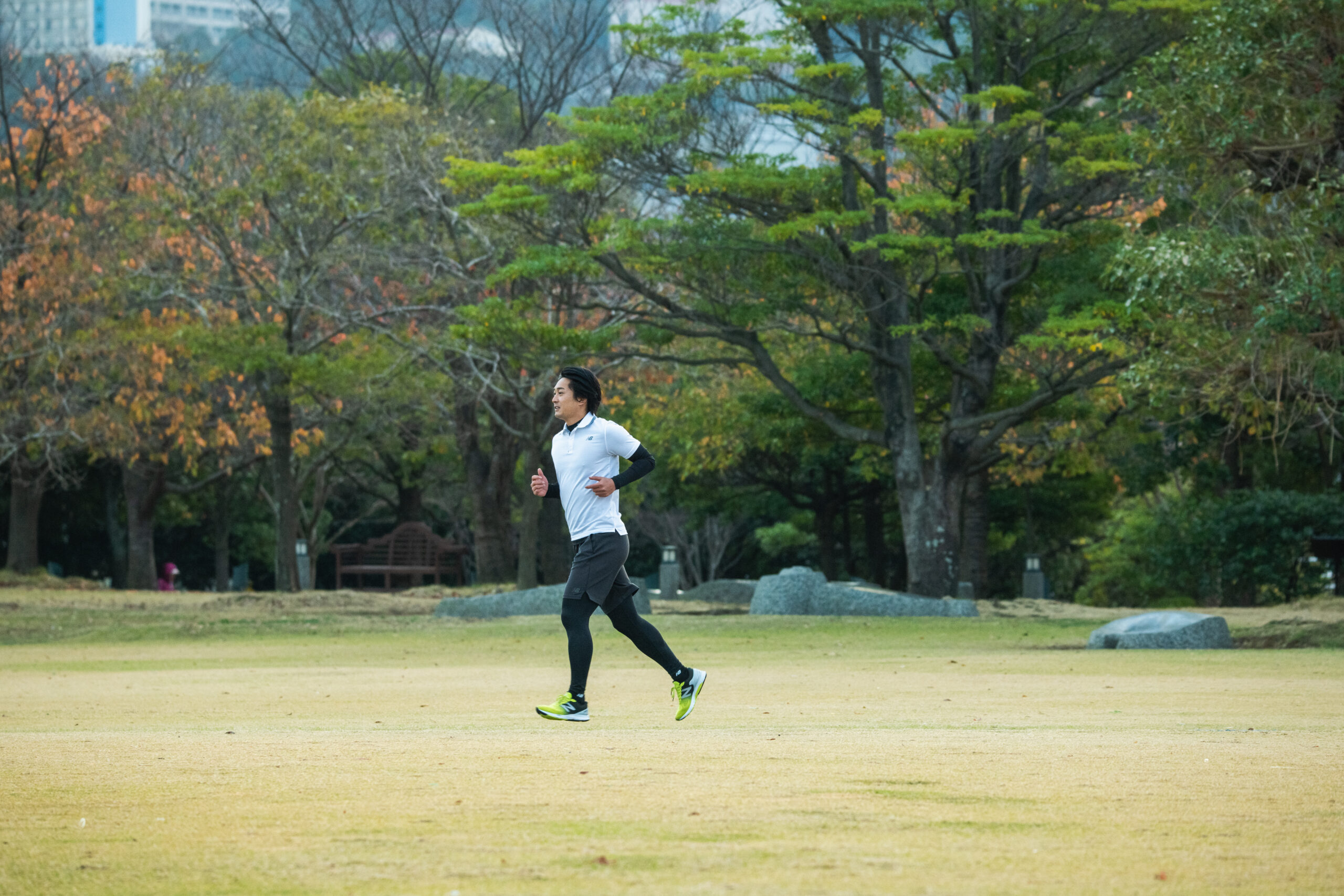 豊里水辺の公園